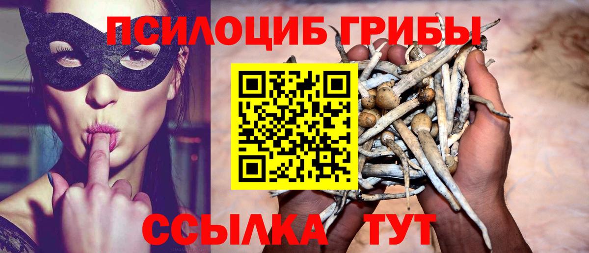 Псилоцибиновые грибы Psilocybine cubensis  Вход с VPN  закладки  Сибай 