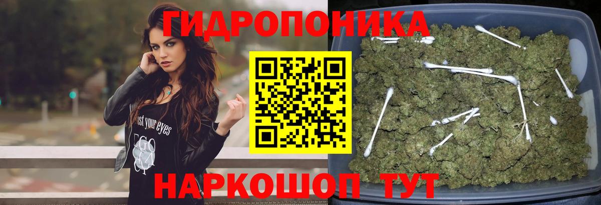 Сибай  Бошки Шишки семена  Вход с VPN  Бошки марихуана Amnesia 